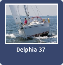 Delphia 37