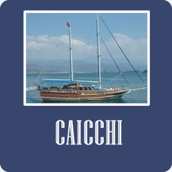caicchi
