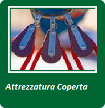 attrezzatura coperta maschera